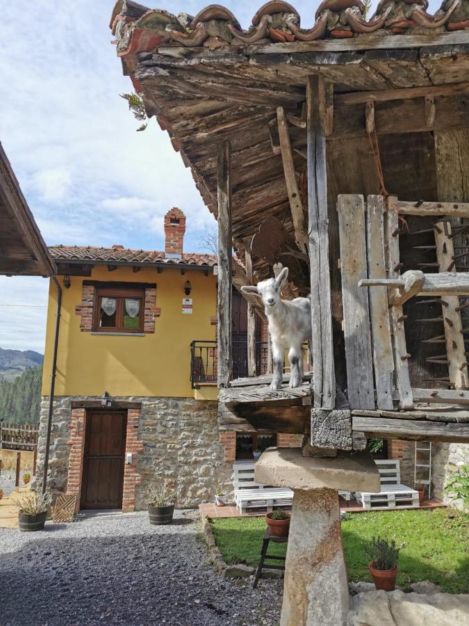 Апартаменты Carroceu Rural Кангас-де-Онис Экстерьер фото